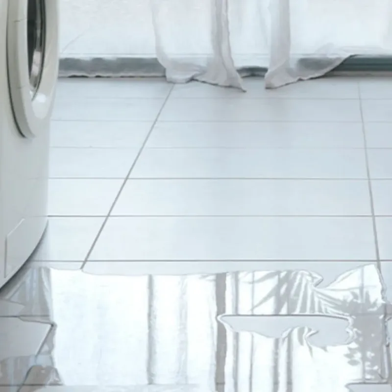 Appliance Leak Cleanup in Ridgeland, MS